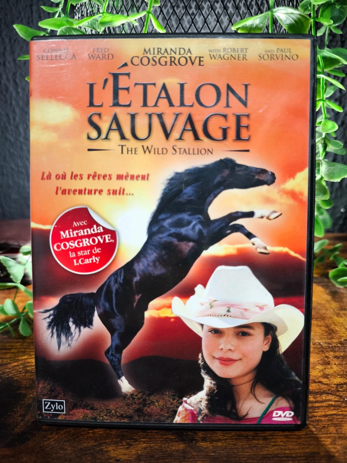 L'étalon sauvage